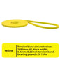 Elastic Fitness Resistance Bands Set